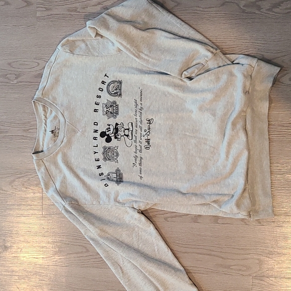 Disney Sweaters - Disneyland Crewneck Vintage 2016